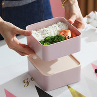 Bento japonais double-1.jpg